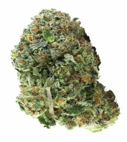 Godfather OG Feminised Seeds 1 (1)