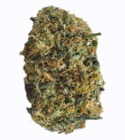 NYC Diesel Seeds 1 (1)