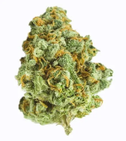 Purple Haze Feminised Seeds 3 (1)
