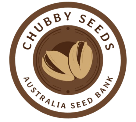 Chubby Seeds