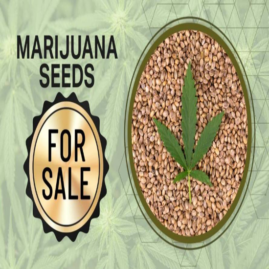 marijuana seeds for sale marijuana seeds for sale