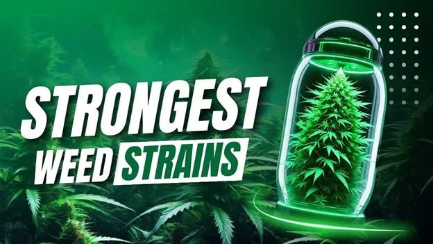 strong strains australia